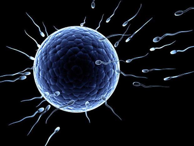 Dr. John Kuo IVF Infertility Fertility Reproductive MD Doctor Beverly Hills Los Angeles LA CA California 郭大庆 不孕症 试管婴儿 双博士 医生 洛杉矶 加州 郭大慶 中国 醫生 試管嬰兒 洛杉磯 Irvine Arcadia Alhambra Pasadena Diamond Bar Rowland Hacienda Heights Cost Treatment Fertilization baby birth Dr. John Kuo IVF Infertility Fertility Reproductive MD Doctor Beverly Hills Los Angeles LA CA California 郭大庆 不孕症 试管婴儿 双博士 医生 洛杉矶 加州 郭大慶 中国 醫生 試管嬰兒 洛杉磯 Irvine Arcadia Alhambra Pasadena Diamond Bar Rowland Hacienda Heights Cost Treatment Fertilization baby birth